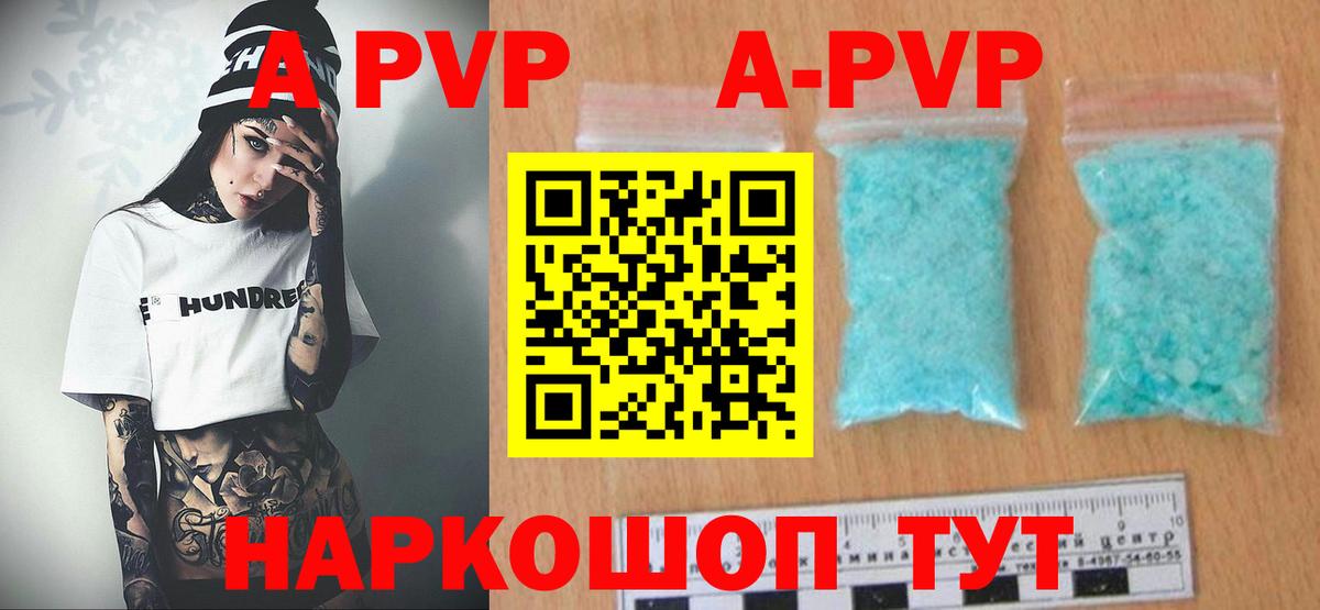 A PVP СК КРИС Курск