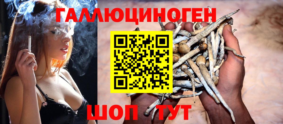 Галлюциногенные грибы мухоморы  Вход с VPN  Курск  Псилоцибиновые грибы прущие грибы 